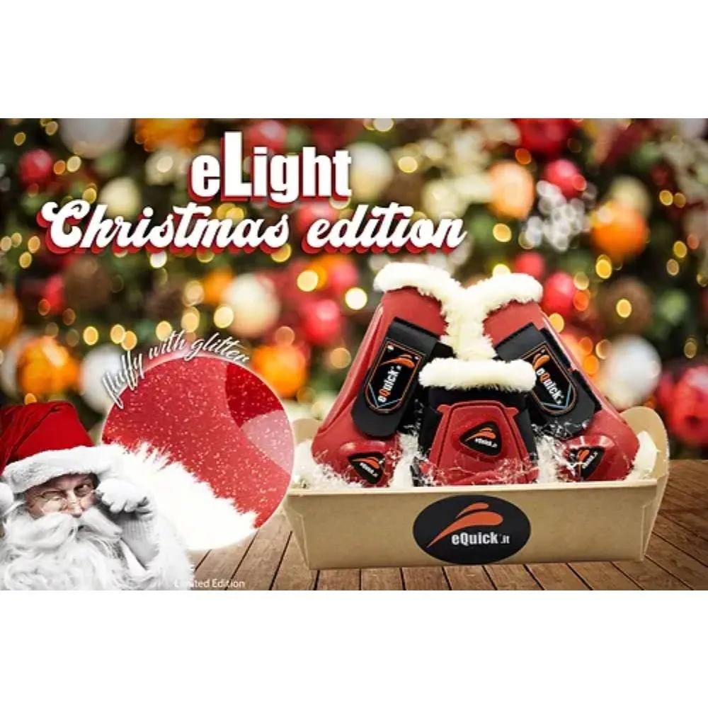 eLight Christmas Set by eQuick (Clearance)  (CLEARANCE)