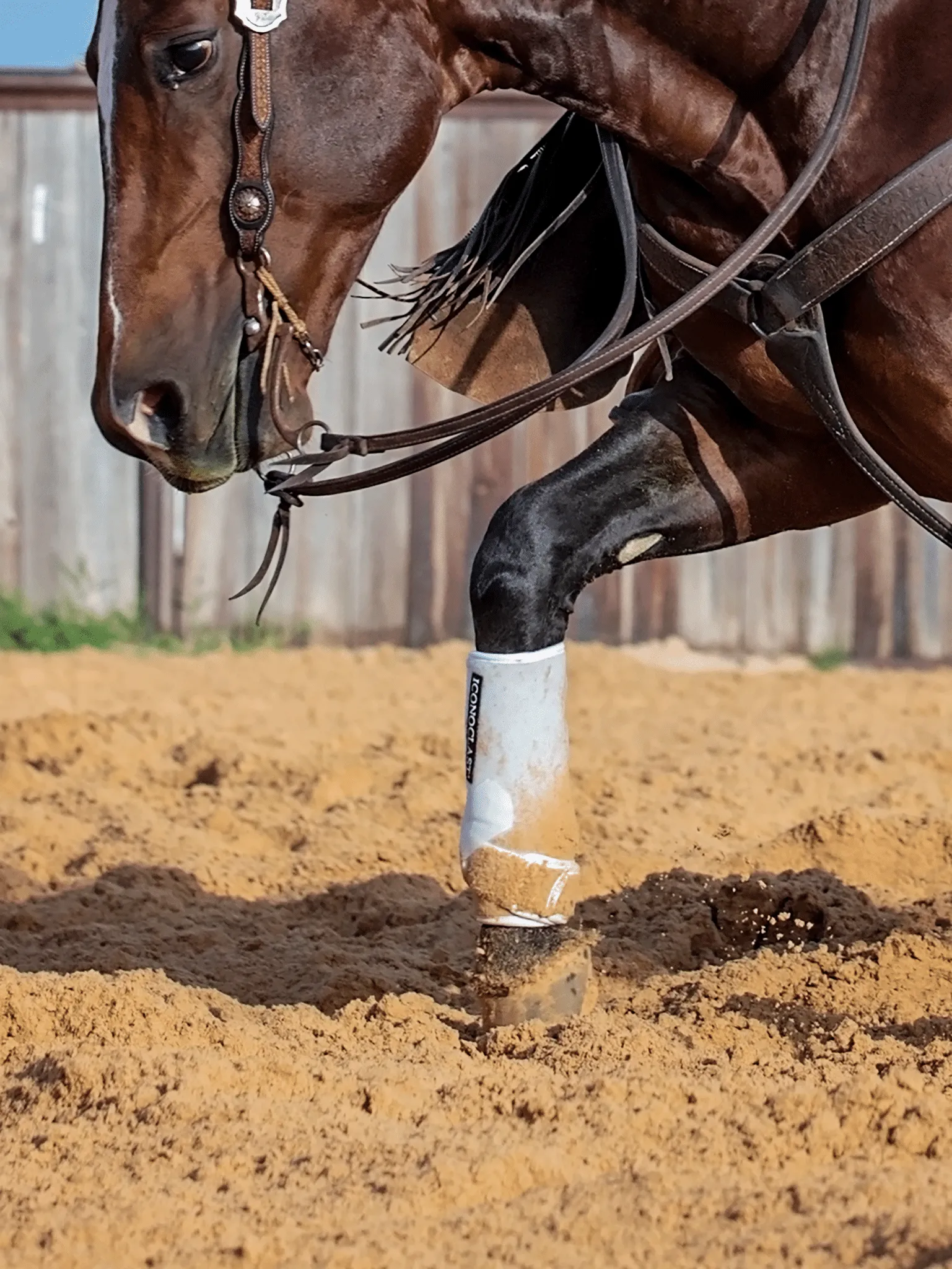 Iconoclast Orthopedic Support - Front Boots